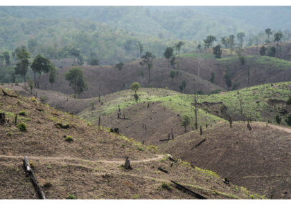 foto deforestazione blog